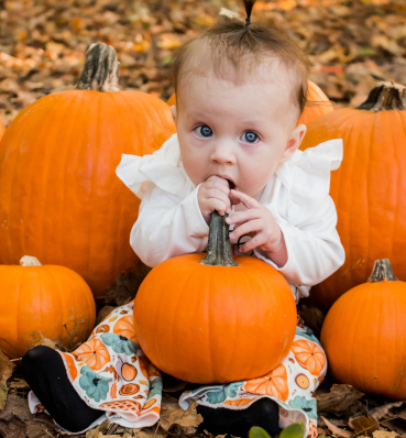 A beautifully staged mini-session setup, featuring soft lighting and a seasonal theme.